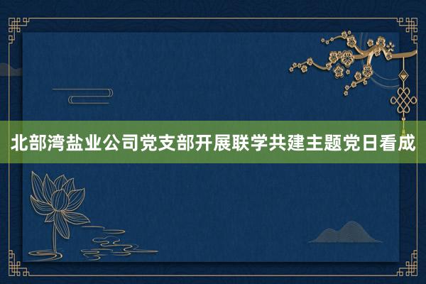 北部湾盐业公司党支部开展联学共建主题党日看成