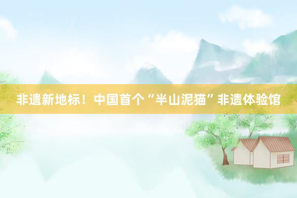 非遗新地标！中国首个“半山泥猫”非遗体验馆