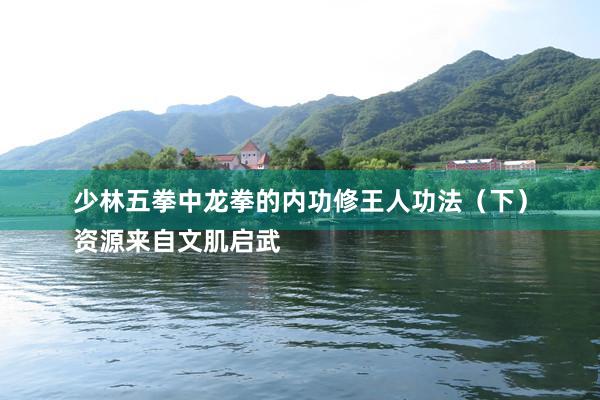 少林五拳中龙拳的内功修王人功法（下）
资源来自文肌启武