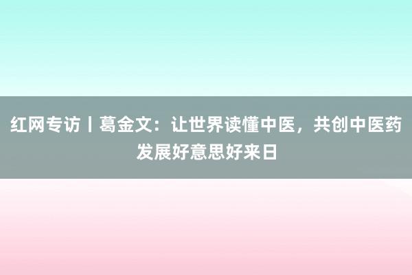 红网专访丨葛金文：让世界读懂中医，共创中医药发展好意思好来日