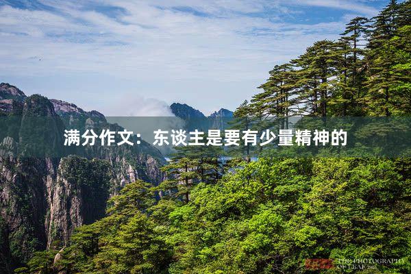 满分作文：东谈主是要有少量精神的