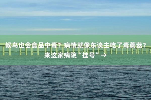 候鸟也会食品中毒？病情就像东谈主吃了毒蘑菇？来这家病院“挂号”→